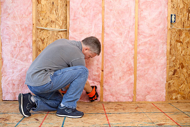 Best DIY Insulation Kits and Guidance in Clinton, MO